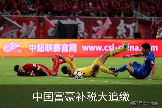 中国富豪补税大追缴