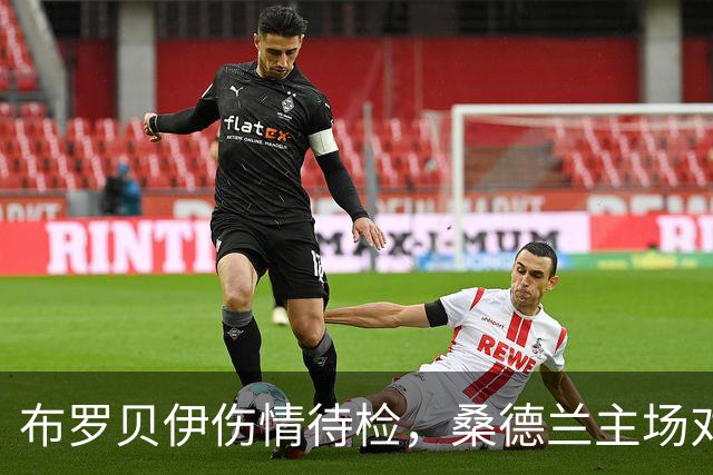 布罗贝伊伤情待检，桑德兰主场对利兹联或让他领衔锋线