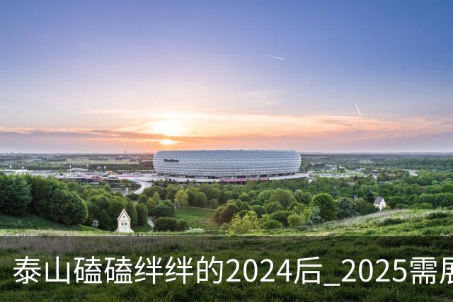 泰山磕磕绊绊的2024后 2025需展现清晰的发展方向