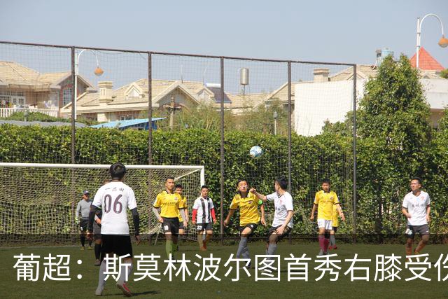 葡超：斯莫林波尔图首秀右膝受伤 下半场开局提前离场