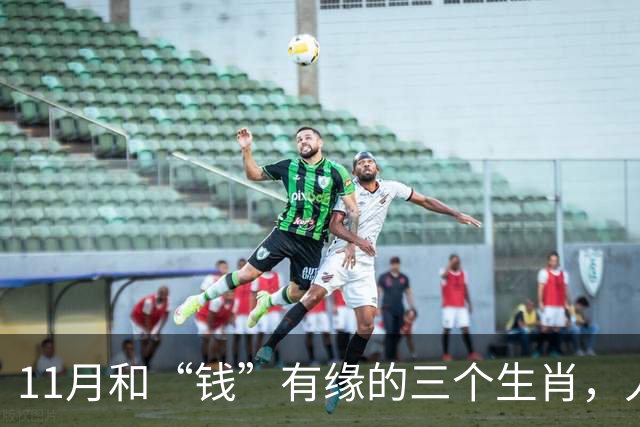 11月和“钱”有缘的三个生肖，人缘好人聪明，赚钱总有路可走